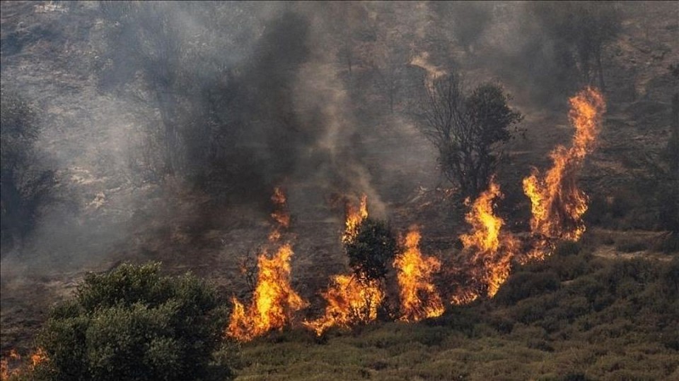 Large fires broke out between Jerusalem and Tel Aviv due to a severe heat wave. The occupation authorities closed roads and evacuated settlers as they struggled to extinguish the fires. Netanyahu said that Israel would request assistance from neighboring countries if necessary.