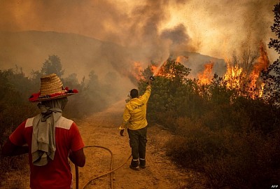 Photos of forest fires in Morocco due to high temperatures