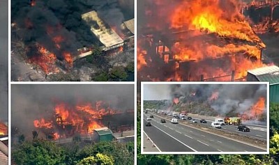 Forest fires in London